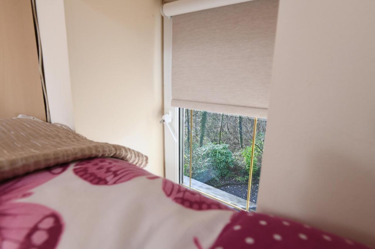 スウォンジー Cilbrwyn Bed & Breakfast エクステリア 写真